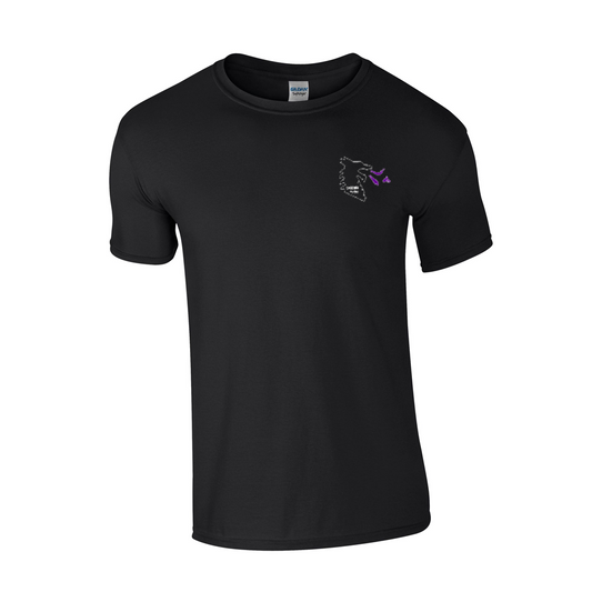 Tshirt - Cardiff Flyers