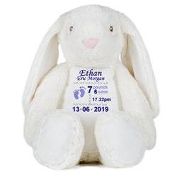 Gorgeous Personalised Baby Bunny - Birth announcement - Boy